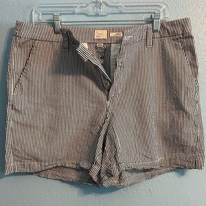 A New Day Blue and White Striped Shorts